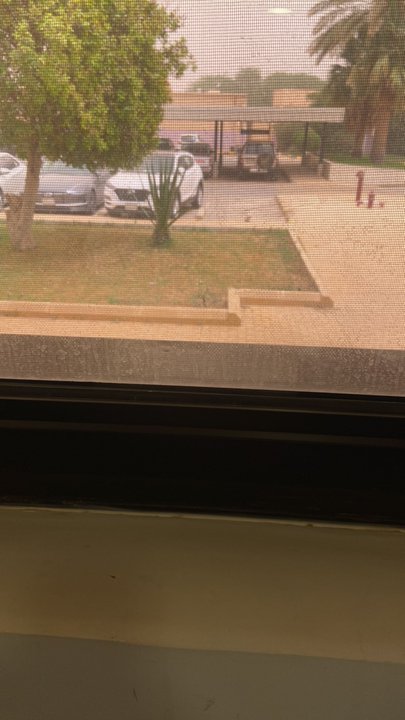 مشاركاتي في أنت الراصد