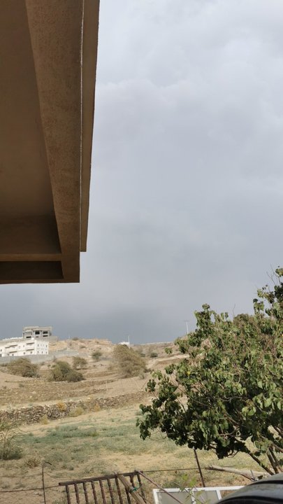 مشاركاتي في أنت الراصد