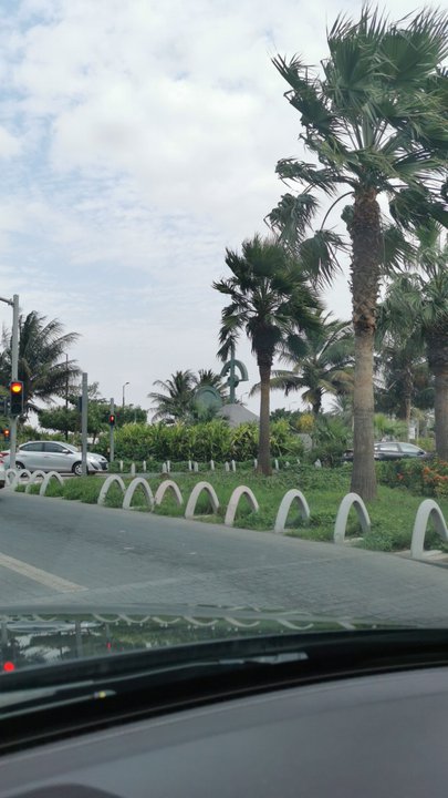 مشاركاتي في أنت الراصد