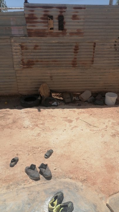 مشاركاتي في أنت الراصد