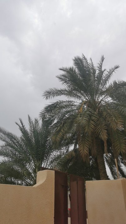 My Crowdsourcing Posts