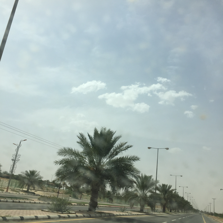 مشاركاتي في أنت الراصد