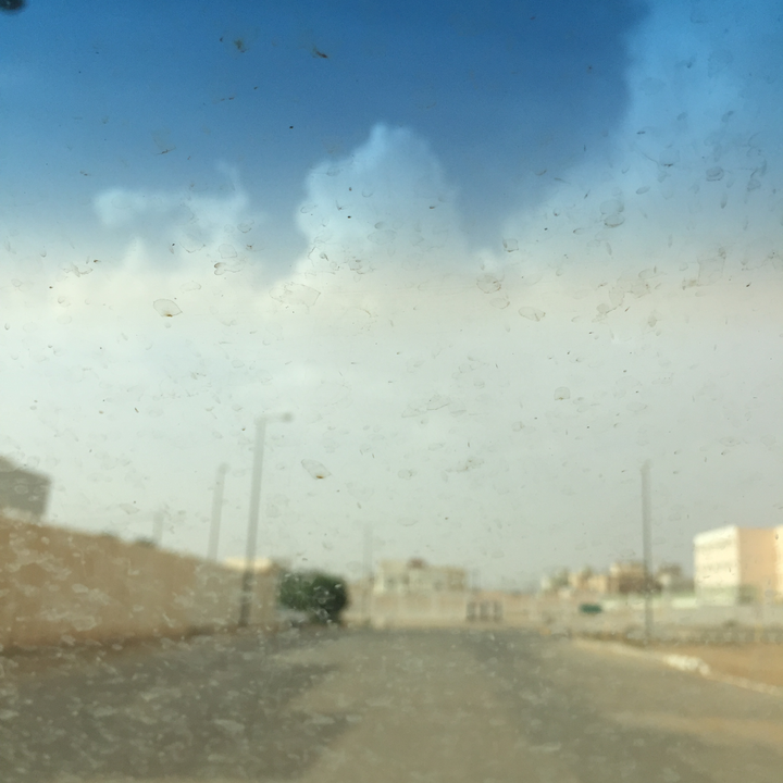 مشاركاتي في أنت الراصد