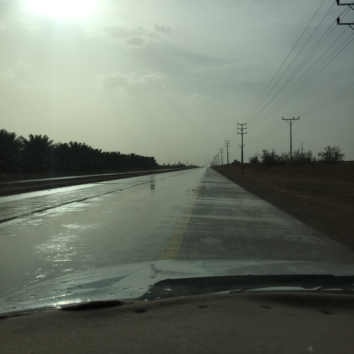 مشاركاتي في أنت الراصد