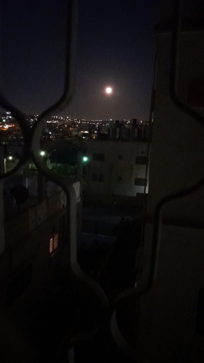 مشاركاتي في أنت الراصد