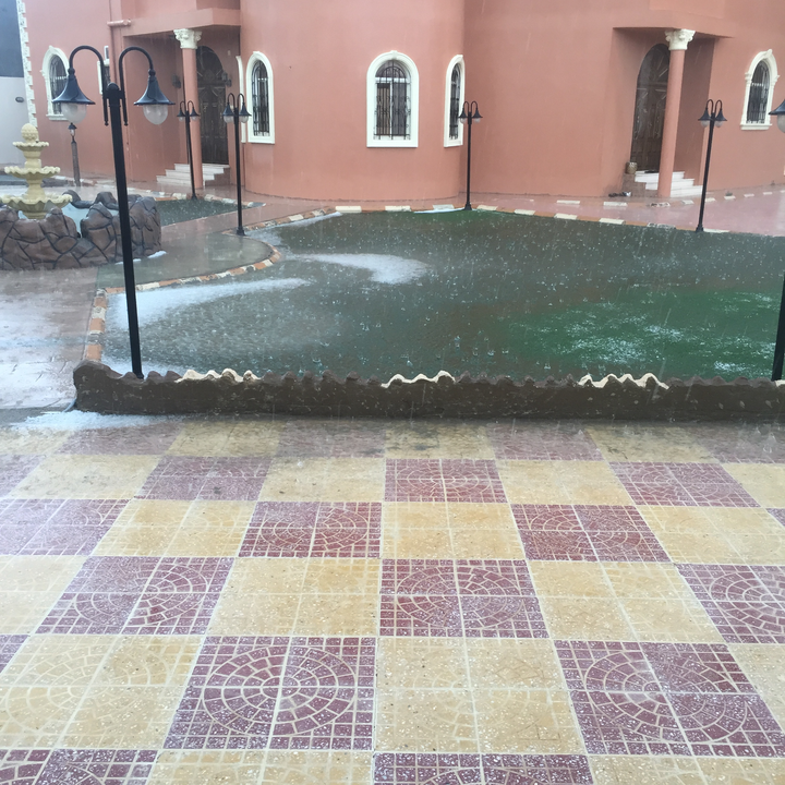 مشاركاتي في أنت الراصد