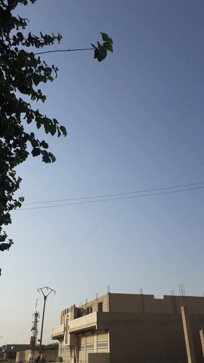 مشاركاتي في أنت الراصد