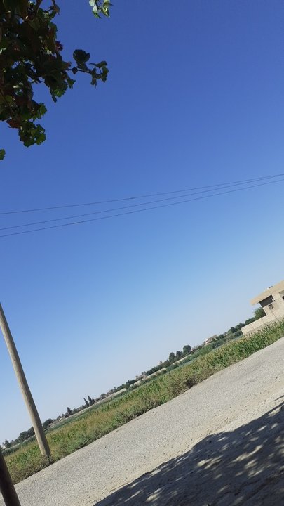 مشاركاتي في أنت الراصد