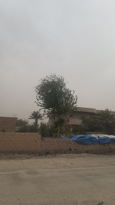 My Crowdsourcing Posts