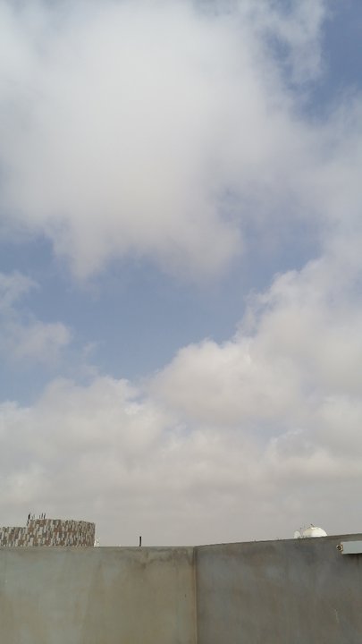 مشاركاتي في أنت الراصد