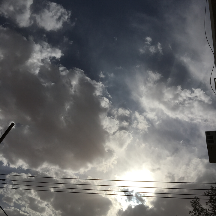 مشاركاتي في أنت الراصد