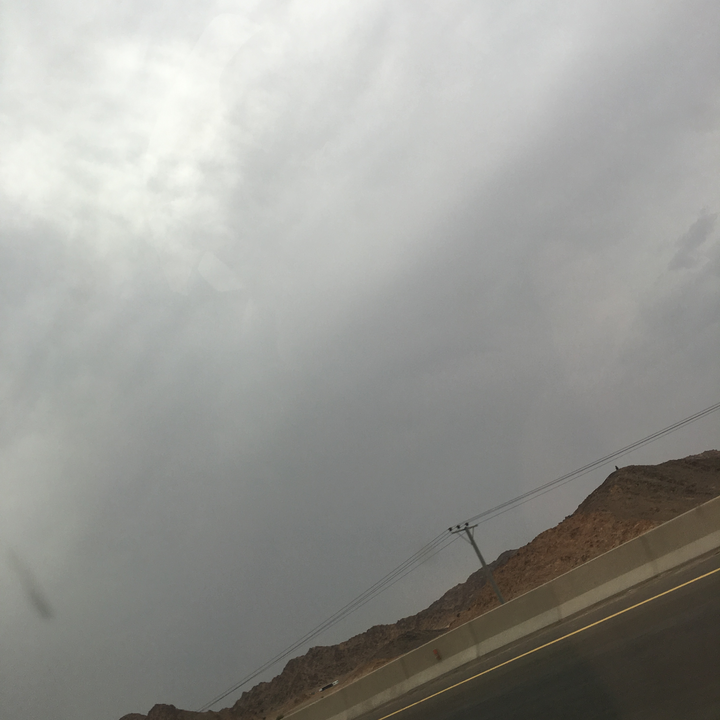 مشاركاتي في أنت الراصد