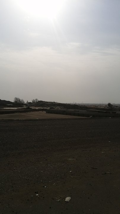 مشاركاتي في أنت الراصد