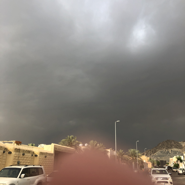 مشاركاتي في أنت الراصد