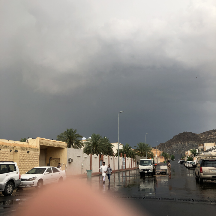 مشاركاتي في أنت الراصد