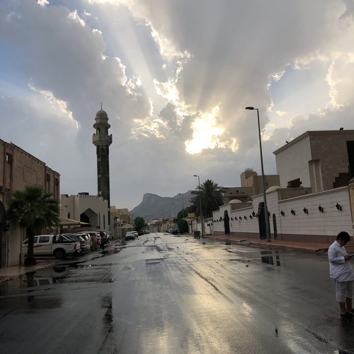 مشاركاتي في أنت الراصد