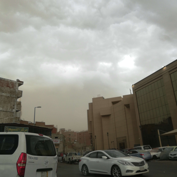 مشاركاتي في أنت الراصد