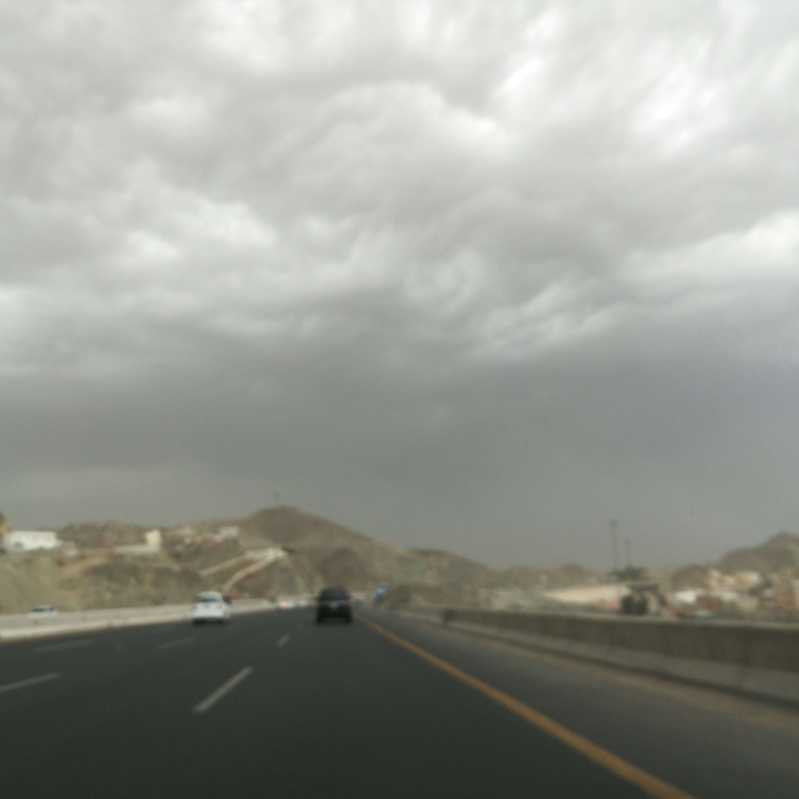 مشاركاتي في أنت الراصد