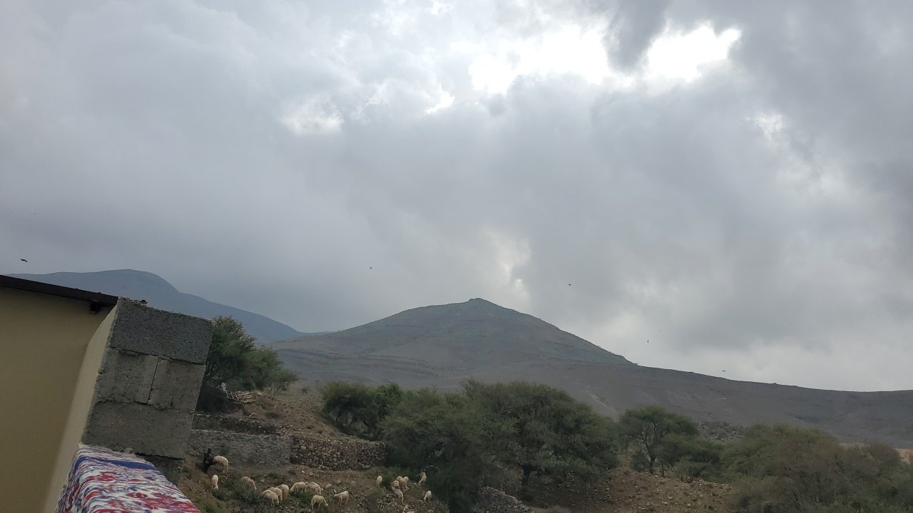 مشاركاتي في أنت الراصد