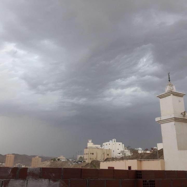 مشاركاتي في أنت الراصد