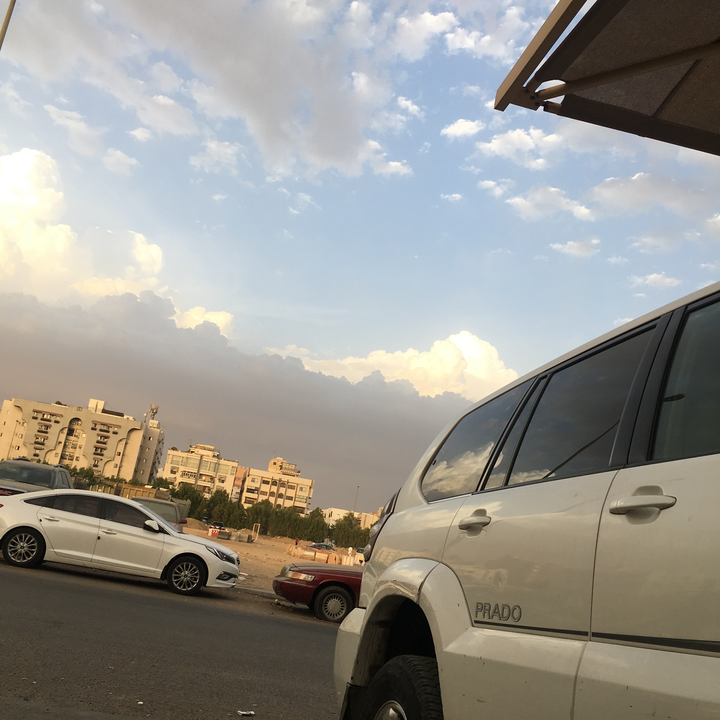 مشاركاتي في أنت الراصد