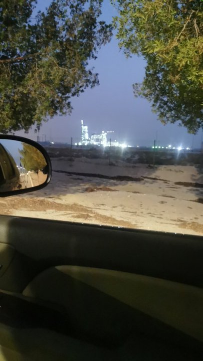 مشاركاتي في أنت الراصد