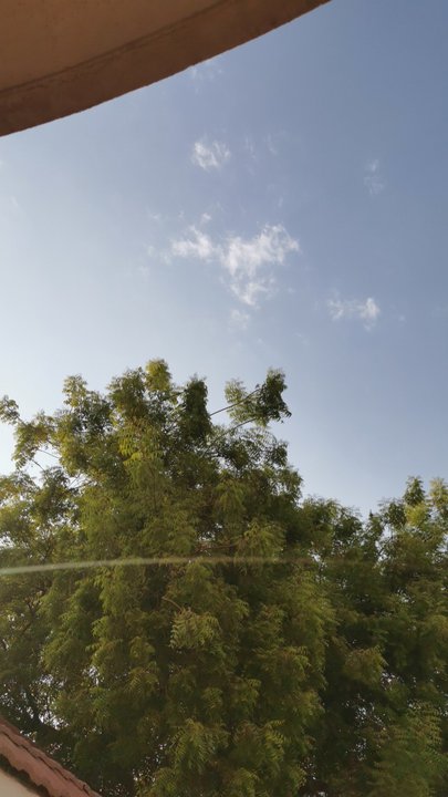 مشاركاتي في أنت الراصد