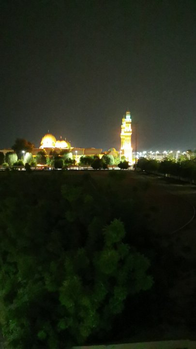 مشاركاتي في أنت الراصد