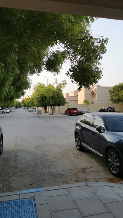 مشاركاتي في أنت الراصد