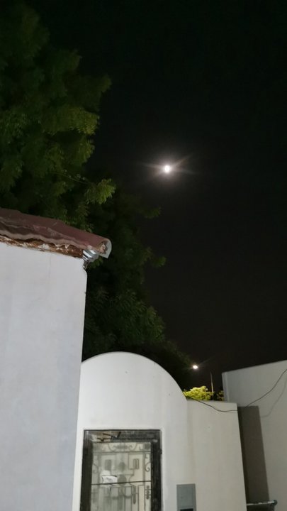 مشاركاتي في أنت الراصد