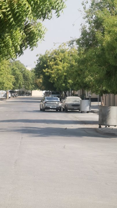 مشاركاتي في أنت الراصد