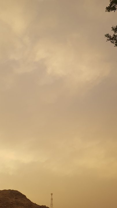 مشاركاتي في أنت الراصد