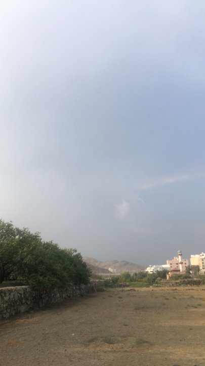 مشاركاتي في أنت الراصد