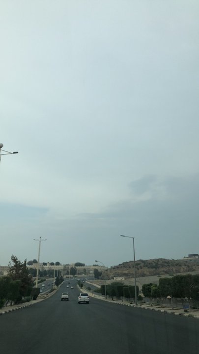 مشاركاتي في أنت الراصد