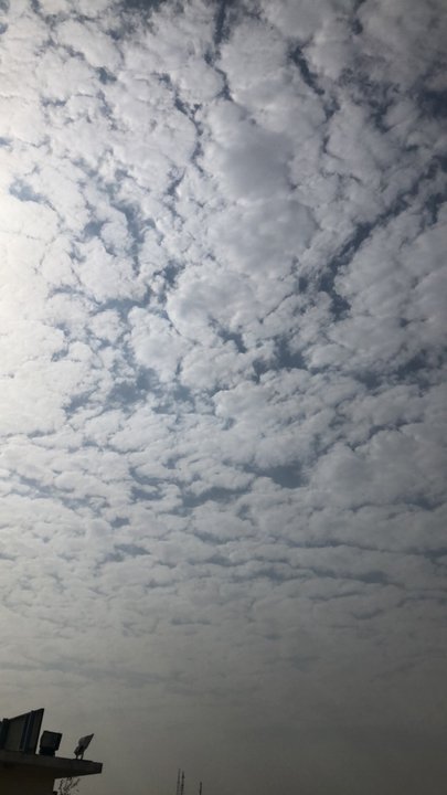 مشاركاتي في أنت الراصد