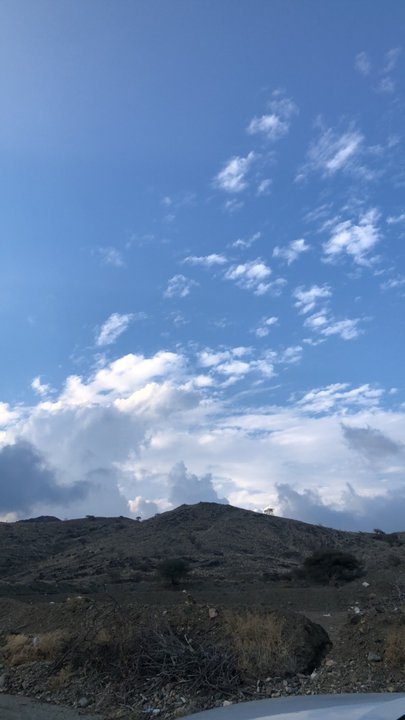 مشاركاتي في أنت الراصد