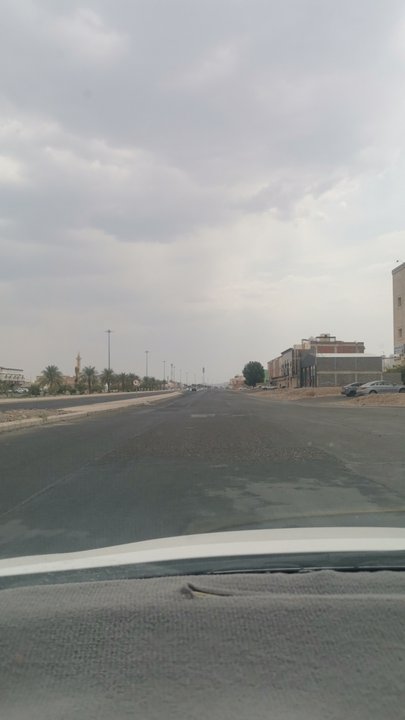 مشاركاتي في أنت الراصد