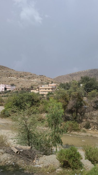 مشاركاتي في أنت الراصد