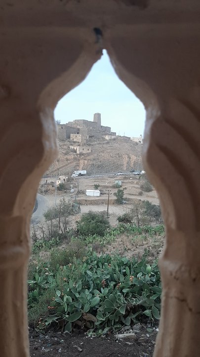 مشاركاتي في أنت الراصد