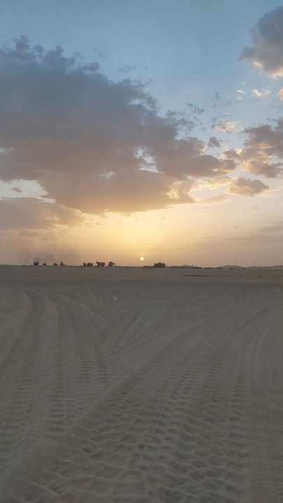 مشاركاتي في أنت الراصد