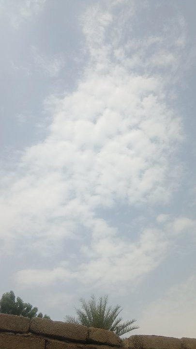 مشاركاتي في أنت الراصد