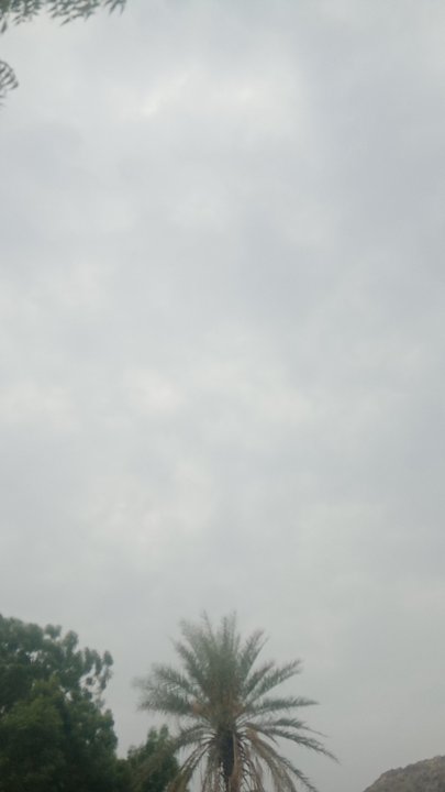 مشاركاتي في أنت الراصد