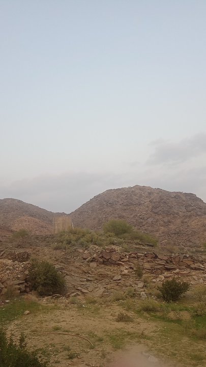 مشاركاتي في أنت الراصد