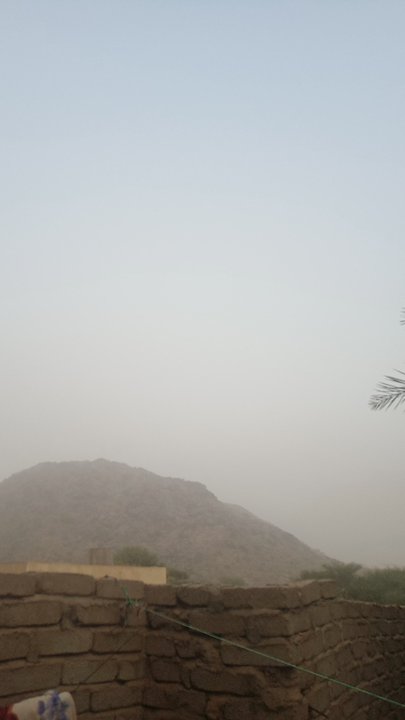 مشاركاتي في أنت الراصد