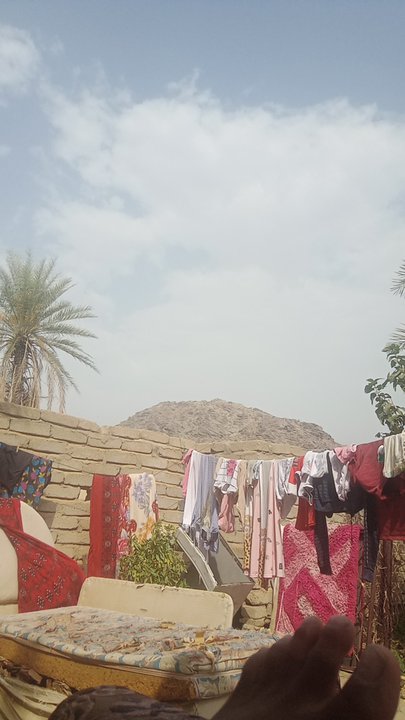 مشاركاتي في أنت الراصد