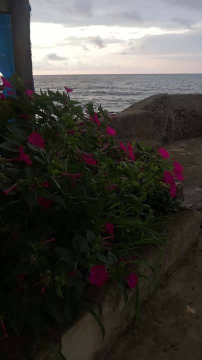 Mes publications Crowdsourcing