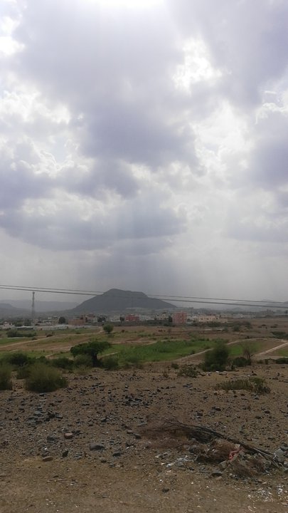 مشاركاتي في أنت الراصد