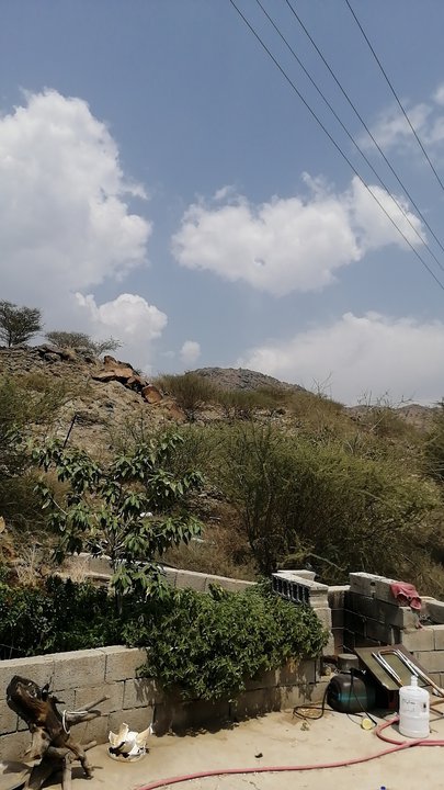 مشاركاتي في أنت الراصد