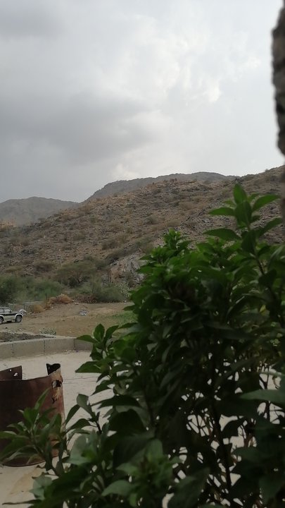 مشاركاتي في أنت الراصد