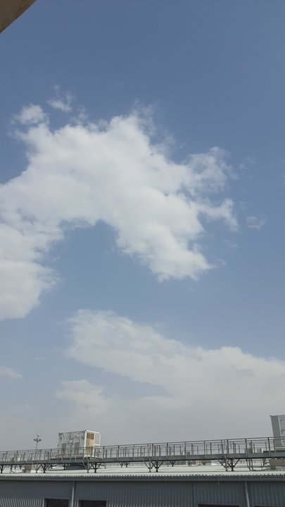 مشاركاتي في أنت الراصد